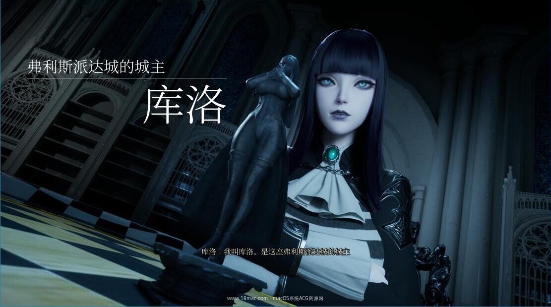 2.webp